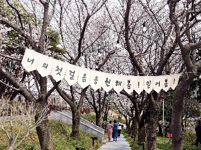 2026 꽃빛드리축제 현장!